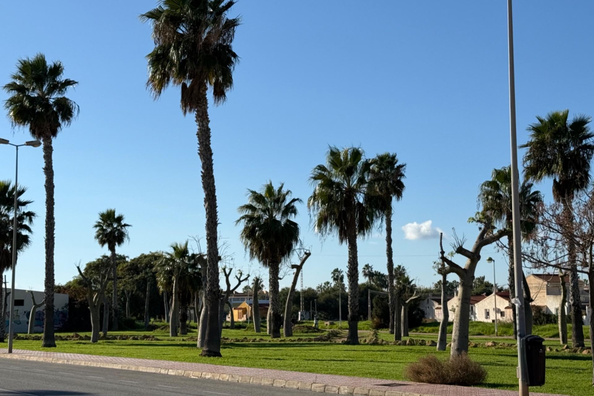 Z drugiej ręki - Szalet -
Torrevieja - La Siesta - El Salado - Torreta