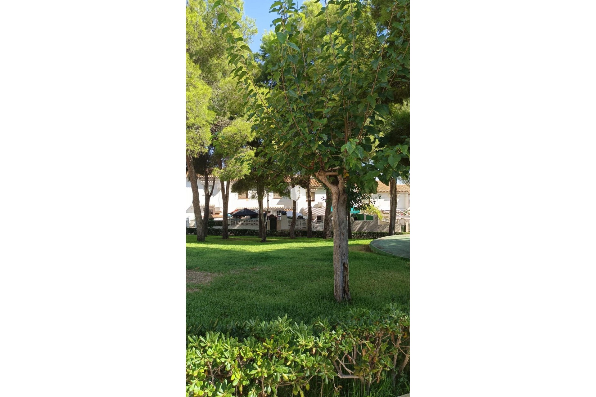 Z drugiej ręki - Szalet -
Torrevieja - Los Balcones