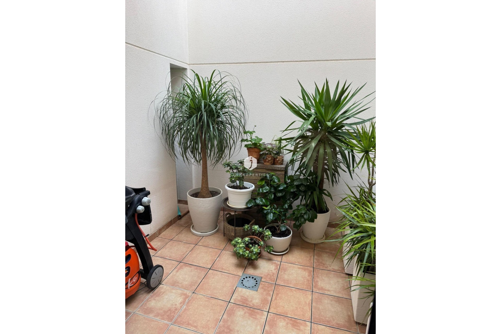 Z drugiej ręki - Szalet -
Torrevieja - Punta prima