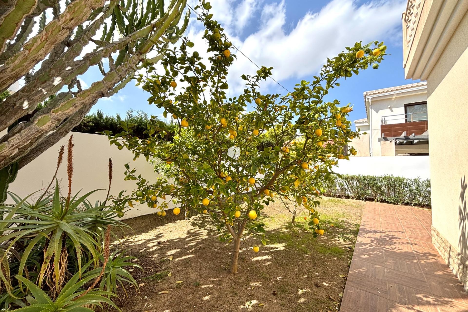 Z drugiej ręki - Villa -
Cabo Roig - Costa Blanca