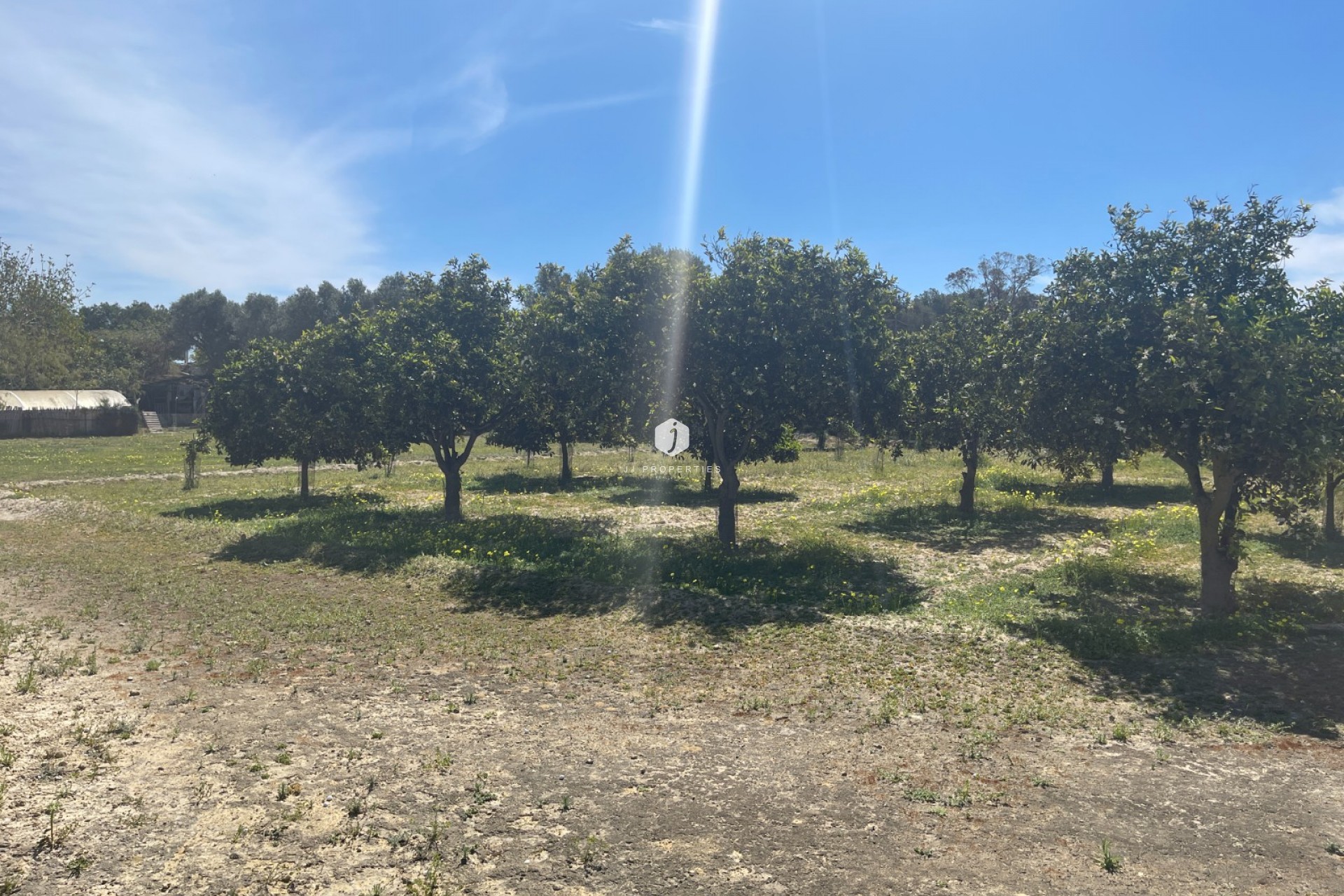 Z drugiej ręki - Villa -
Guardamar del Segura - Costa Blanca