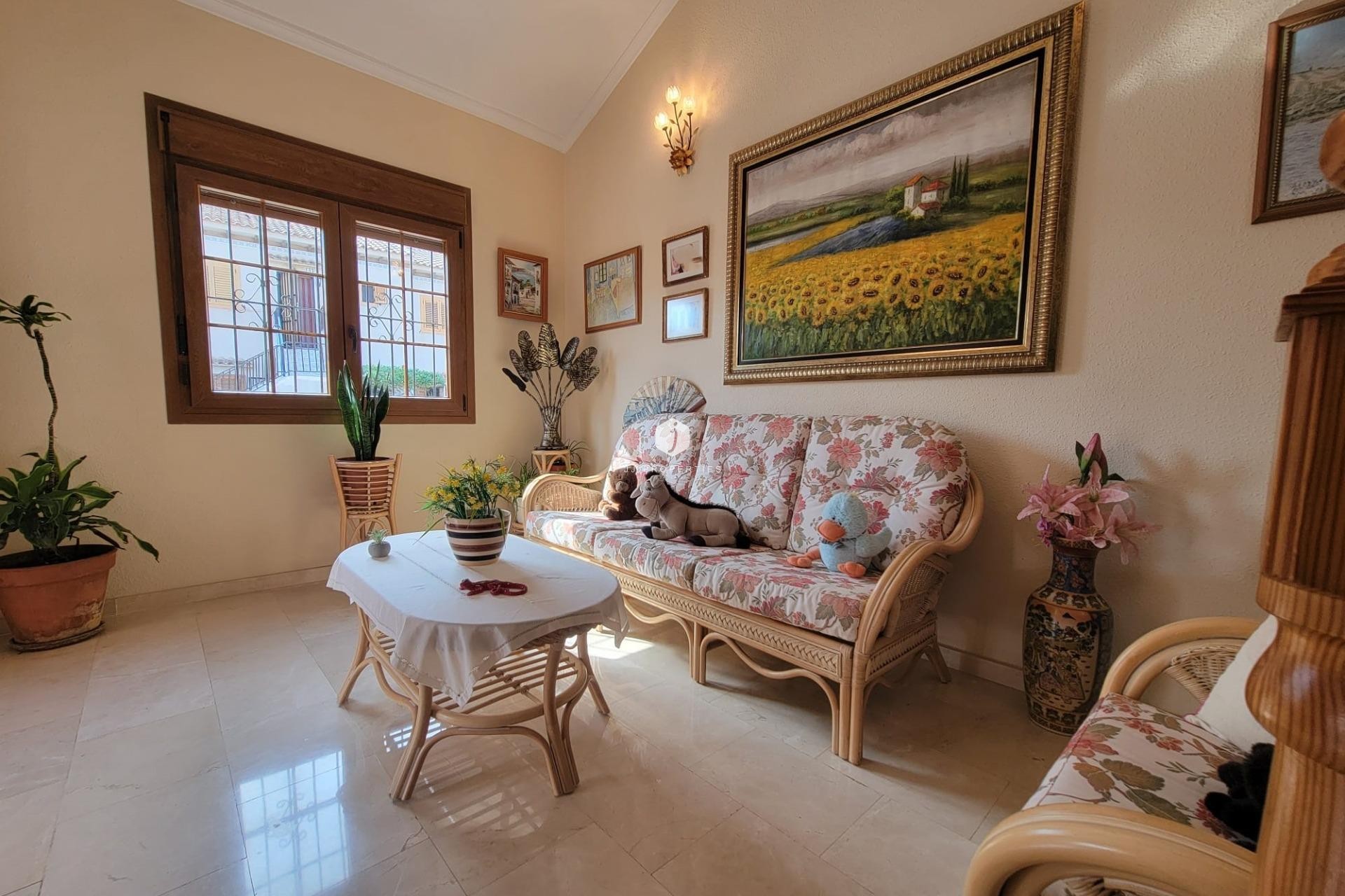 Z drugiej ręki - Villa -
Torrevieja - aguas nuevas