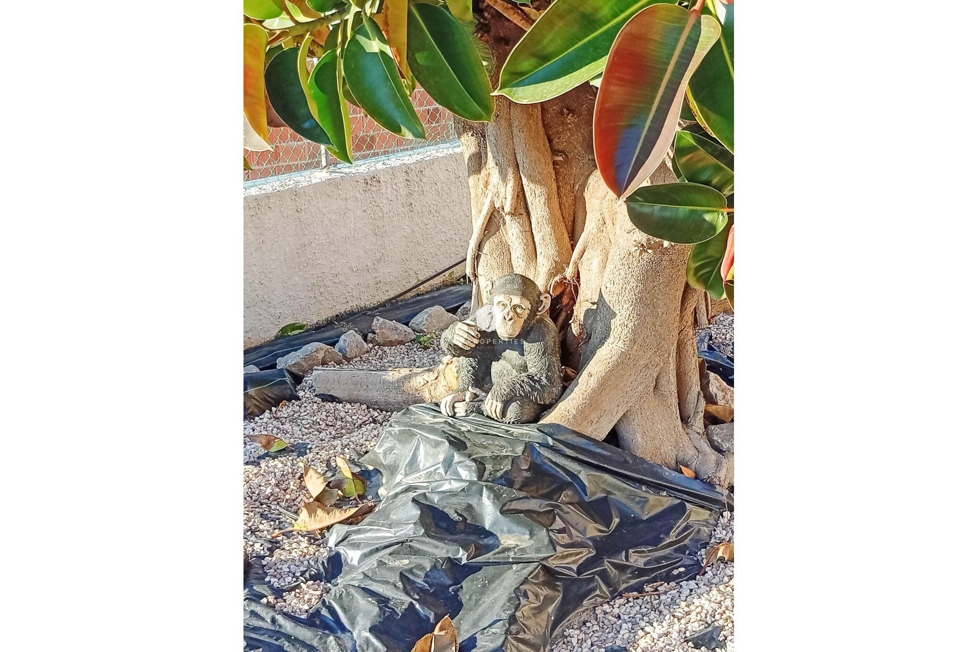 Z drugiej ręki - Villa -
Torrevieja - La siesta