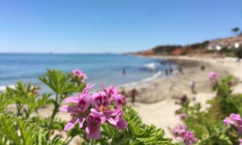 Barranco Beach Campoamor