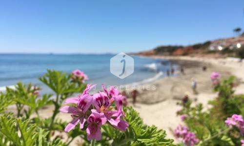 Playa Barranco Campoamor 