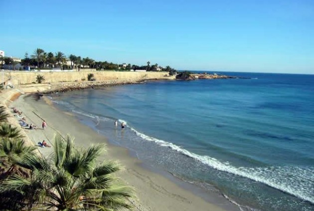 Nowy budynek - Bungalow -
San Miguel de Salinas