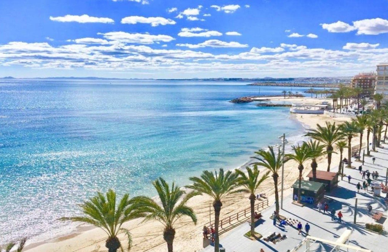 Obra nueva - Chalet -
Torrevieja - Lago Jardin