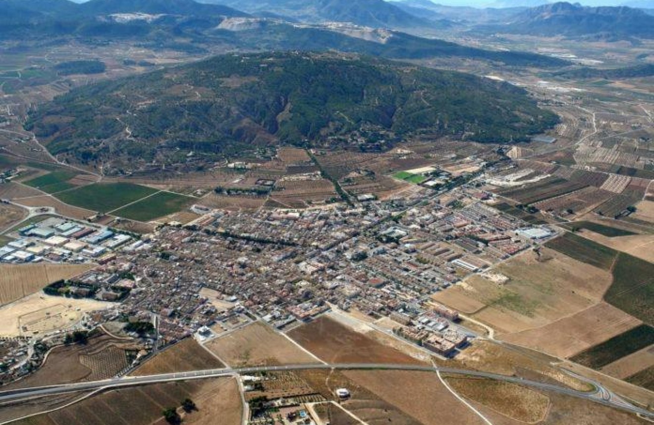 Obra nueva - Chalet -
Pinoso - Campo