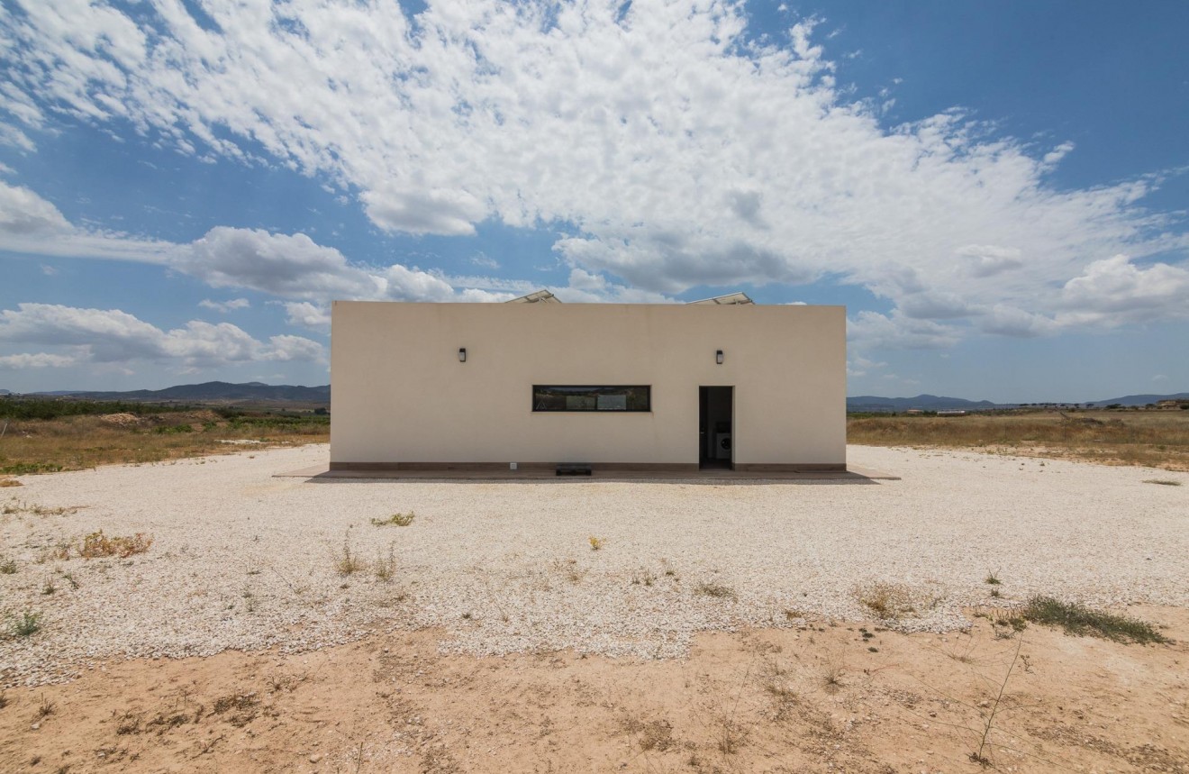 Obra nueva - Chalet -
Pinoso - Campo