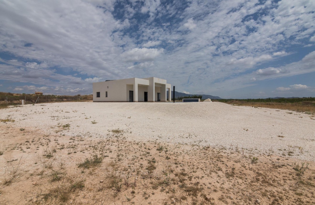 Obra nueva - Chalet -
Pinoso - Campo