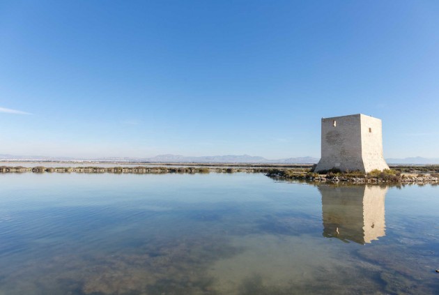 Obra nueva - Ático -
Santa Pola - Eroski