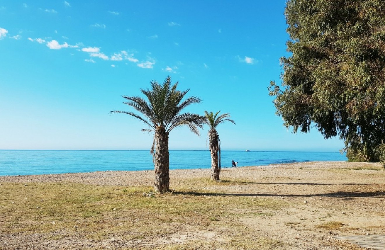 Nowy budynek - Daszek -
Villajoyosa - Playas Del Torres