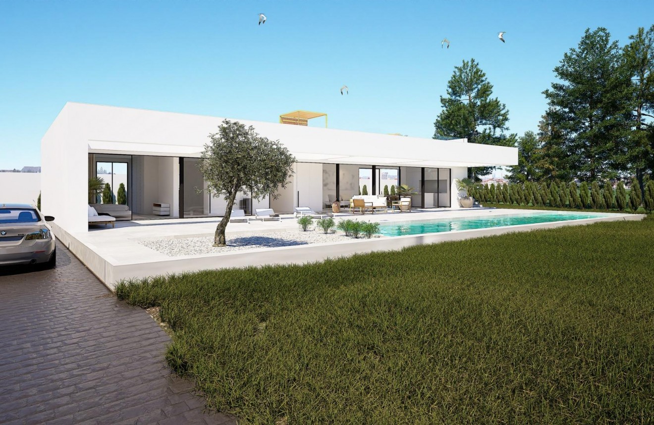 Obra nueva - Chalet -
Orihuela Costa - Las Filipinas