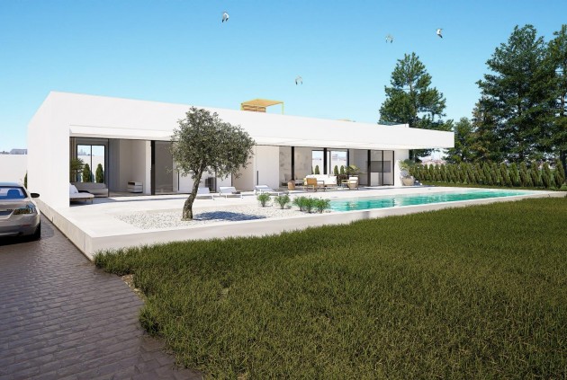 Obra nueva - Chalet -
Orihuela Costa - Las Filipinas