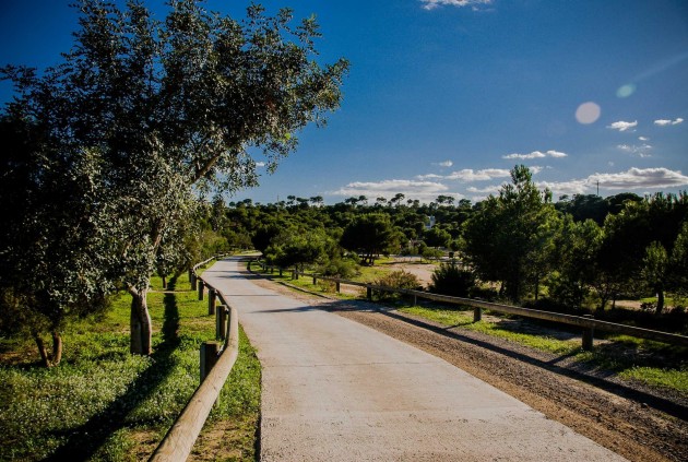 Nowy budynek - Szalet -
Rojales - Ciudad Quesada