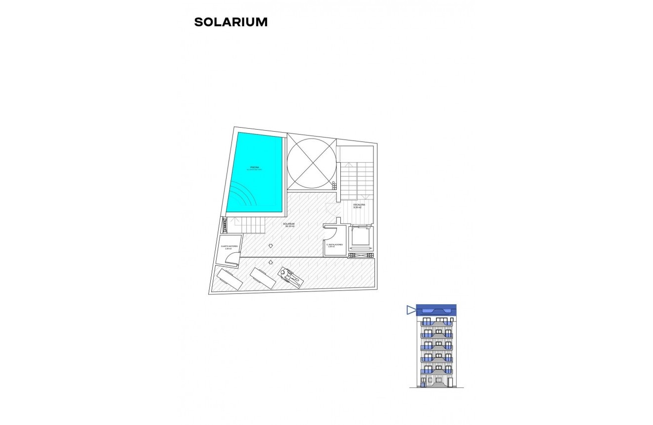 Nieuwbouw Woningen - Appartement / flat -
Torrevieja - Playa de los Locos