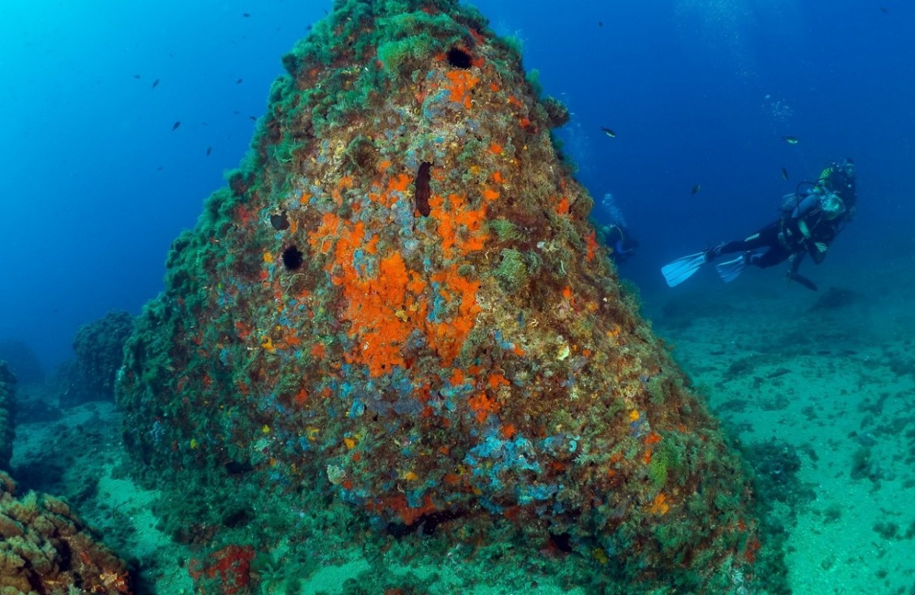 Nowy budynek - Daszek -
Aguilas - Isla Del Fraile