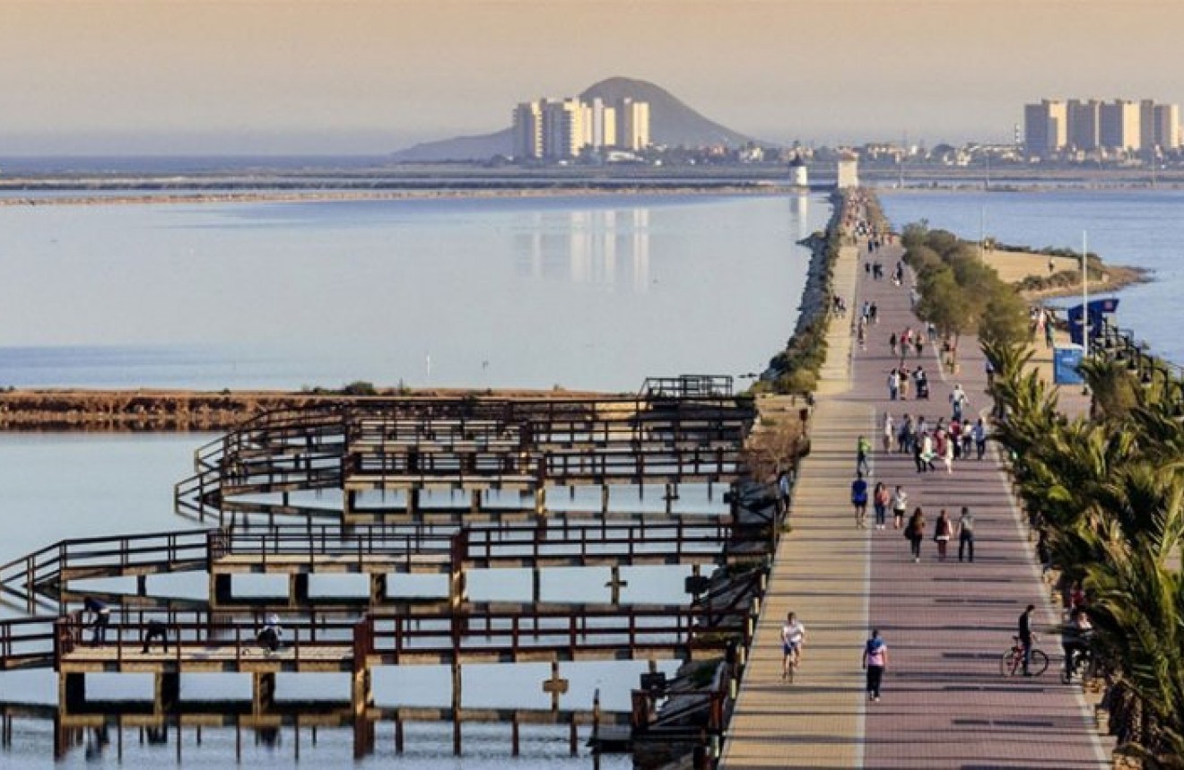 Nowy budynek - Szalet -
San Pedro del Pinatar - El Salero