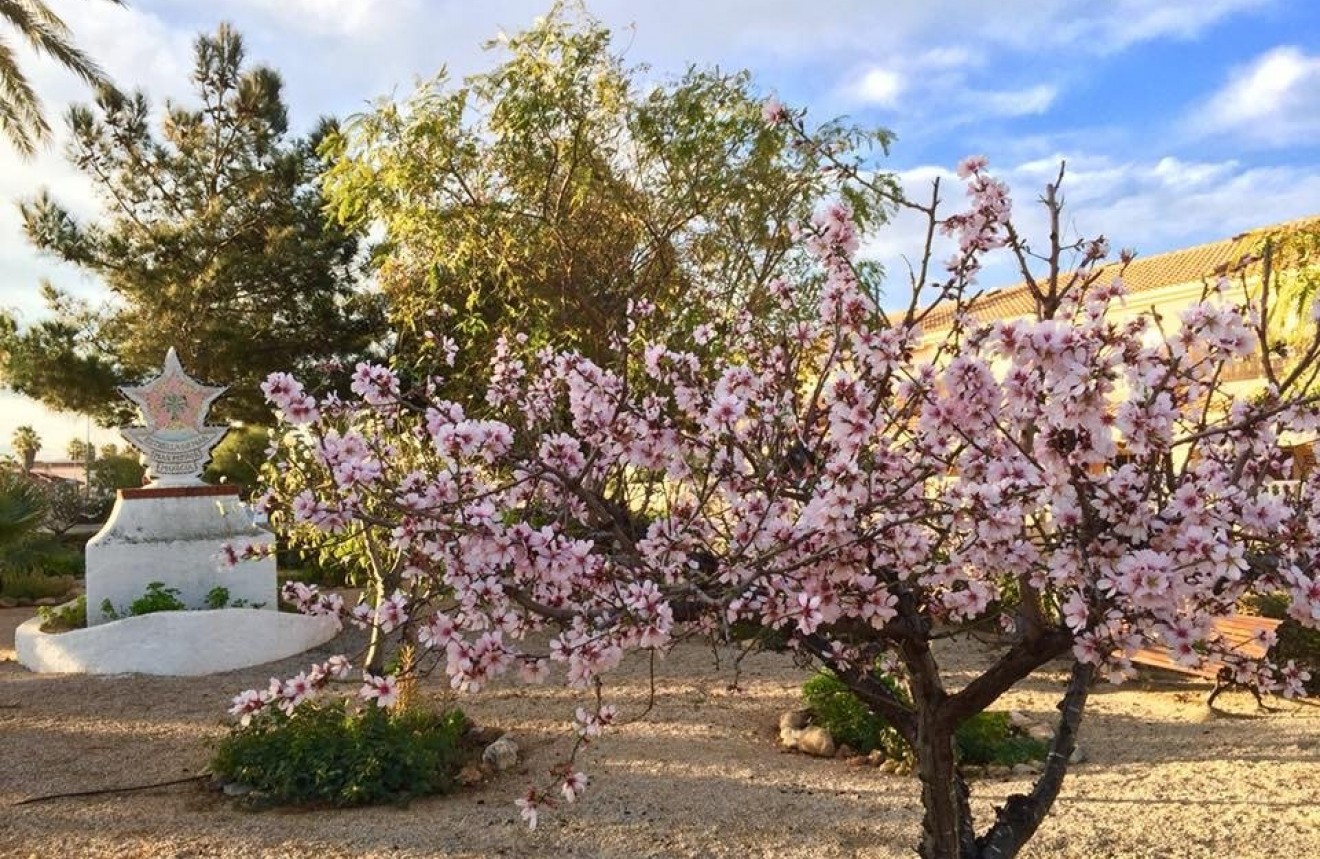 Nieuwbouw Woningen - Chalet -
Los Urrutias - Estrella De Mar