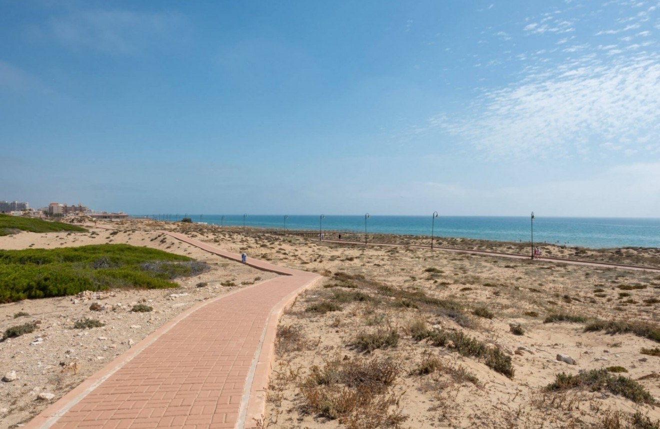 Obra nueva - Ático -
Torrevieja - La Mata