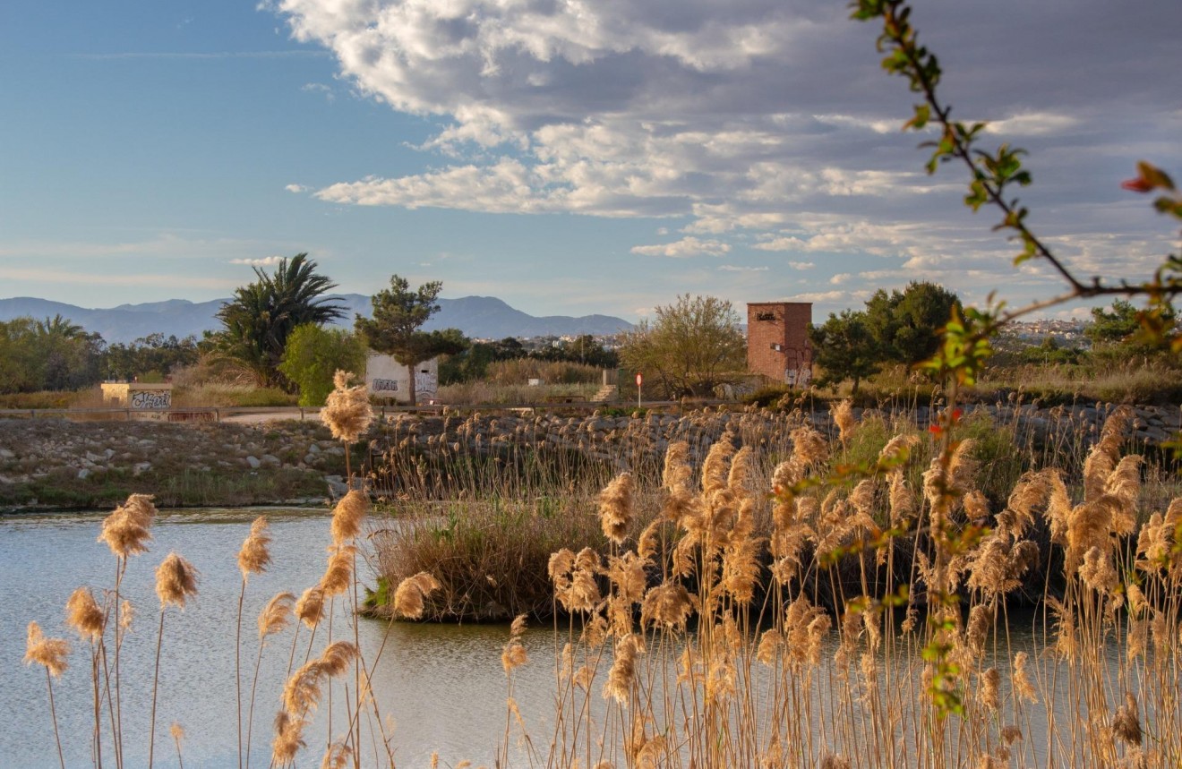 Nowy budynek - Bungalow -
Guardamar del Segura - Guardamar Del Segura