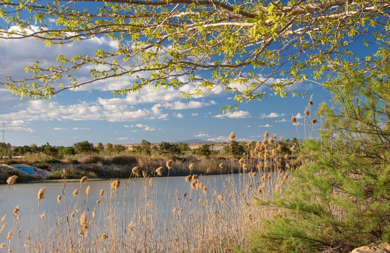 Nowy budynek - Bungalow -
Guardamar del Segura - Guardamar Del Segura