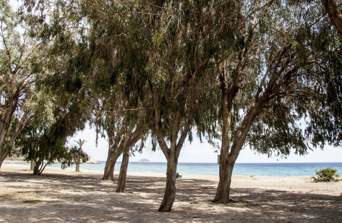 Nowy budynek - Mieszkanie w bloku -
Villajoyosa - Playas Del Torres