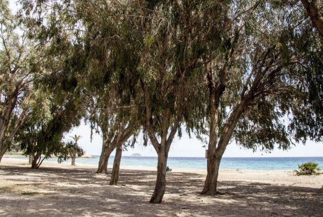 Nowy budynek - Mieszkanie w bloku -
Villajoyosa - Playas Del Torres