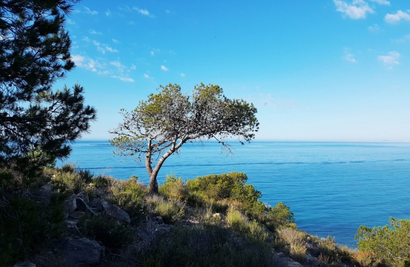 Neue Gebäude - Wohnung -
Villajoyosa - Playas Del Torres