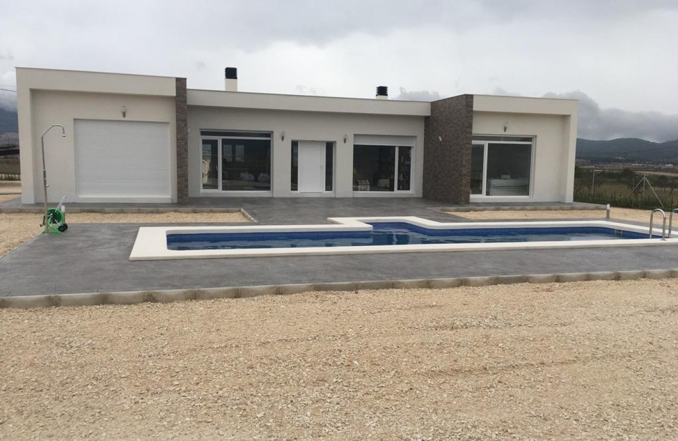 Obra nueva - Chalet -
Pinoso - Camino Del Prado