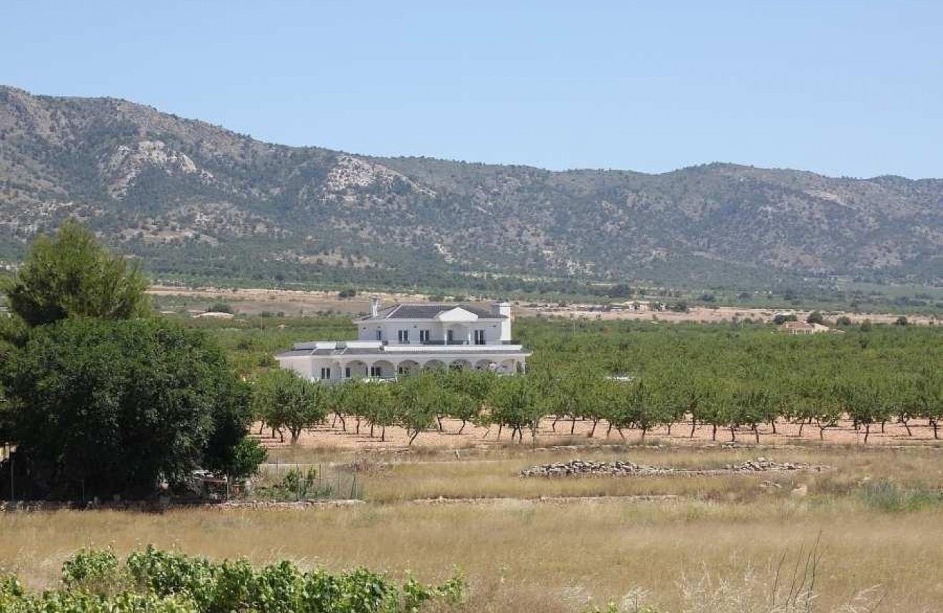 Neue Gebäude - Chalet -
Pinoso - Camino Del Prado