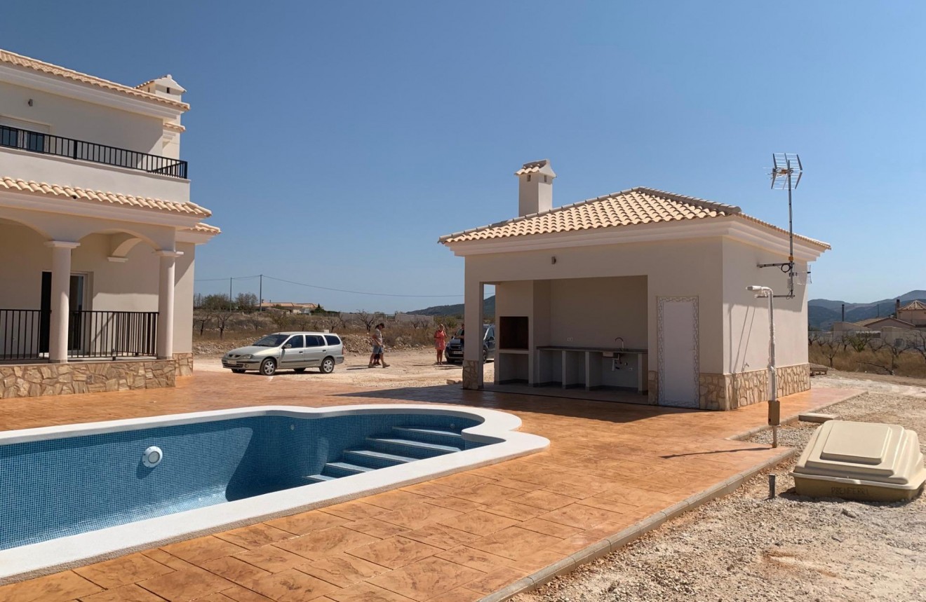 New Build - Chalet -
Pinoso - Camino Del Prado