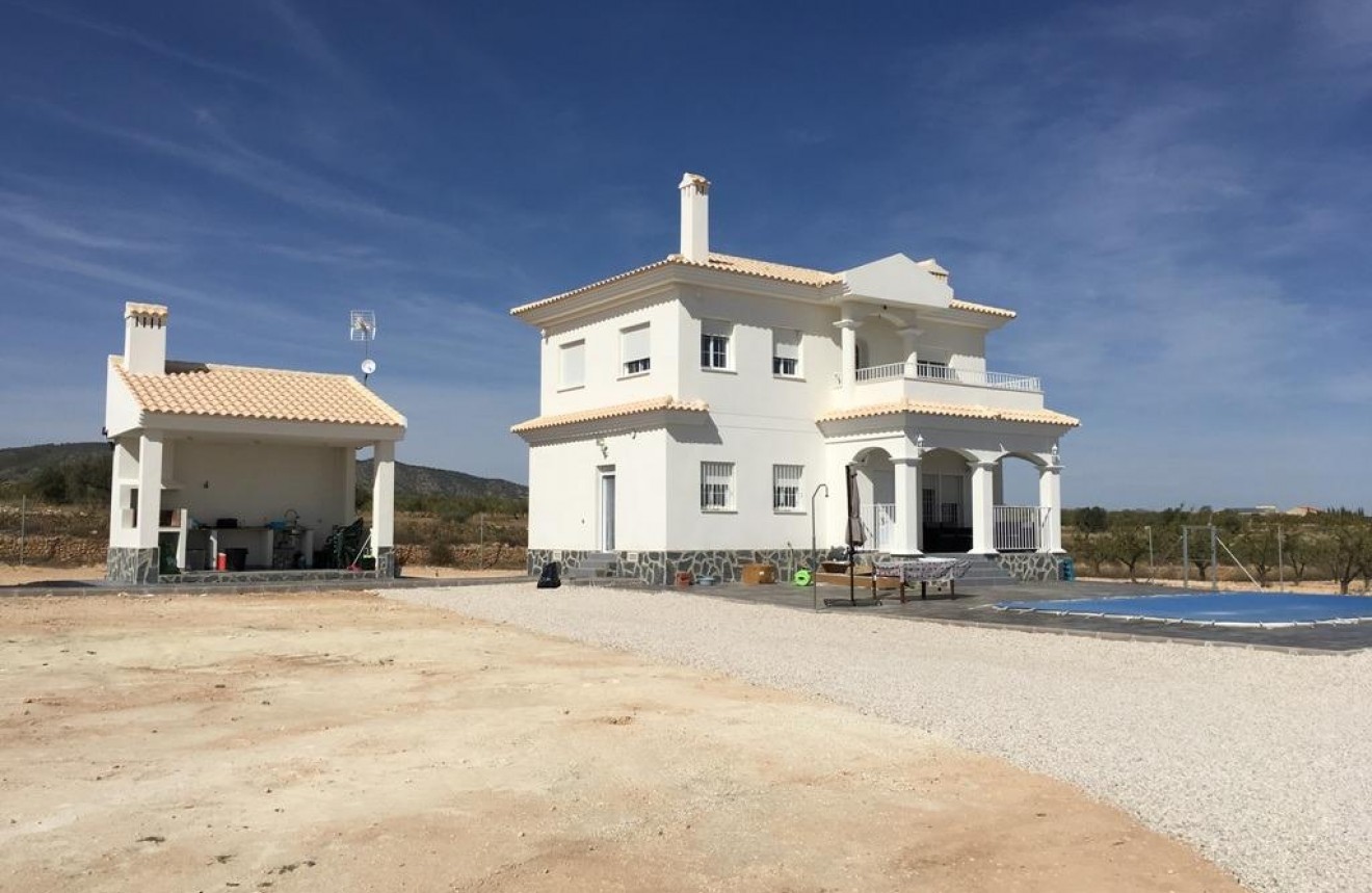 Obra nueva - Chalet -
Pinoso - Camino Del Prado