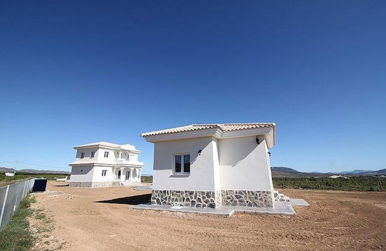 Obra nueva - Chalet -
Pinoso - Camino Del Prado