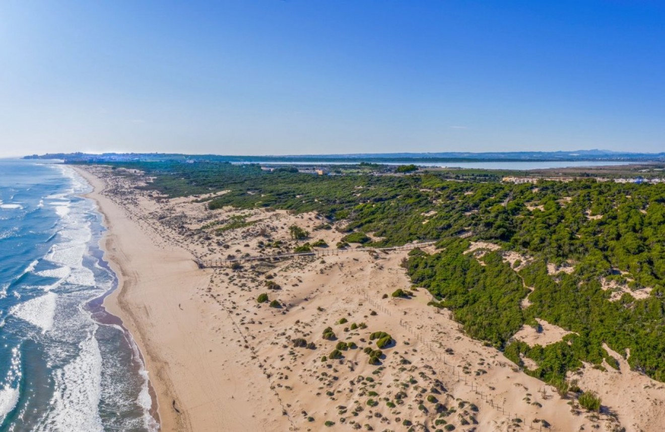 Nowy budynek - Szalet -
Rojales - Benimar