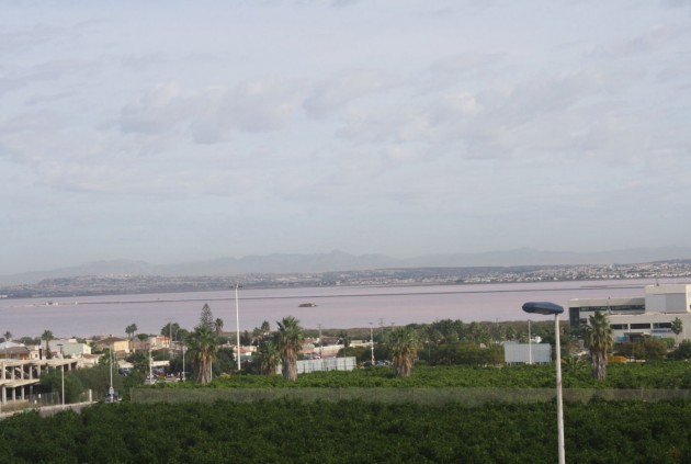 Neue Gebäude - Chalet -
Torrevieja - Los altos