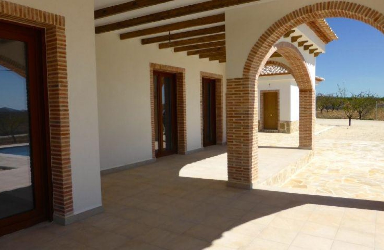 Obra nueva - Chalet -
Pinoso - Centro