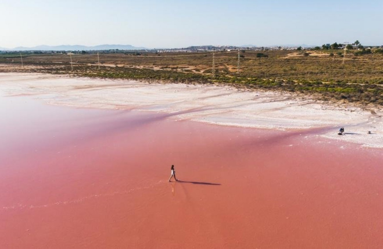 Nowy budynek - Szalet -
Torrevieja - Aguas Nuevas 1