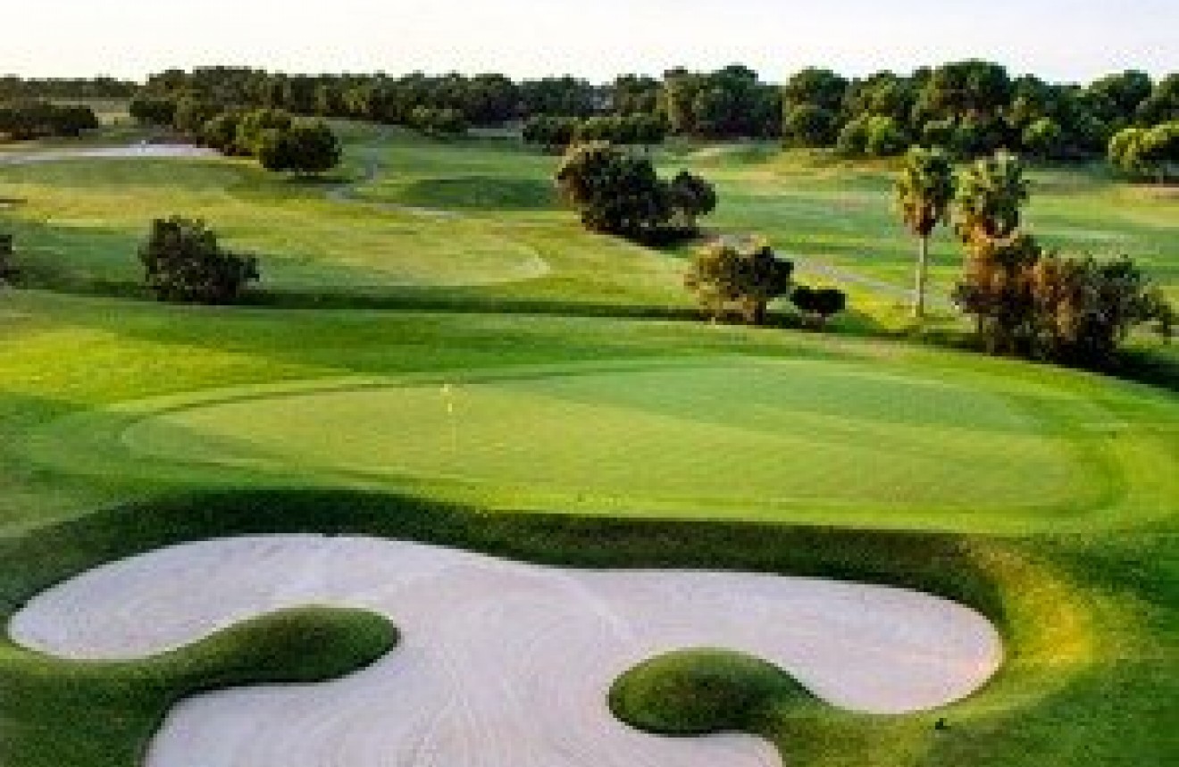 Obra nueva - Chalet -
Pilar de la Horadada - Lo Romero Golf