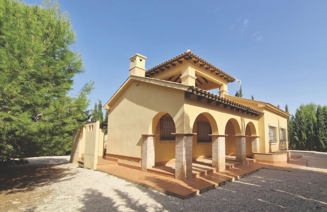 New Build - Chalet -
Fuente Álamo - Las Palas