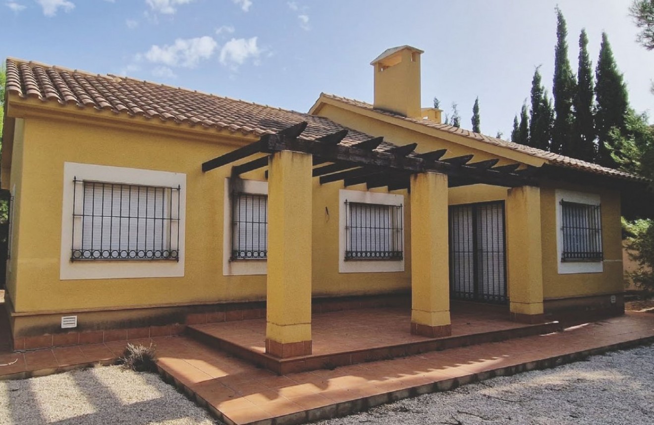 Obra nueva - Chalet -
Fuente Álamo - Las Palas