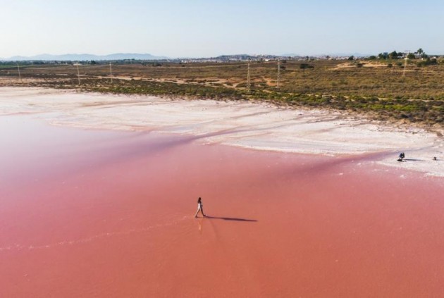 Nowy budynek - Mieszkanie w bloku -
Torrevieja - Playa del Cura