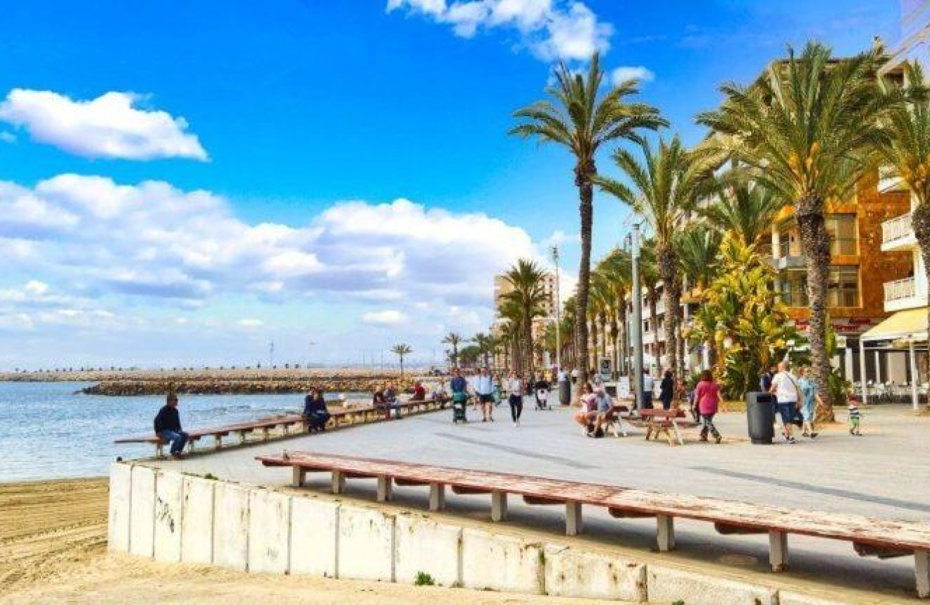 Neue Gebäude - Penthouse -
Torrevieja - Habaneras