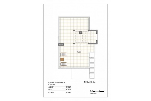 Obra nueva - Bungalow -
San Miguel de Salinas - Urbanizaciones