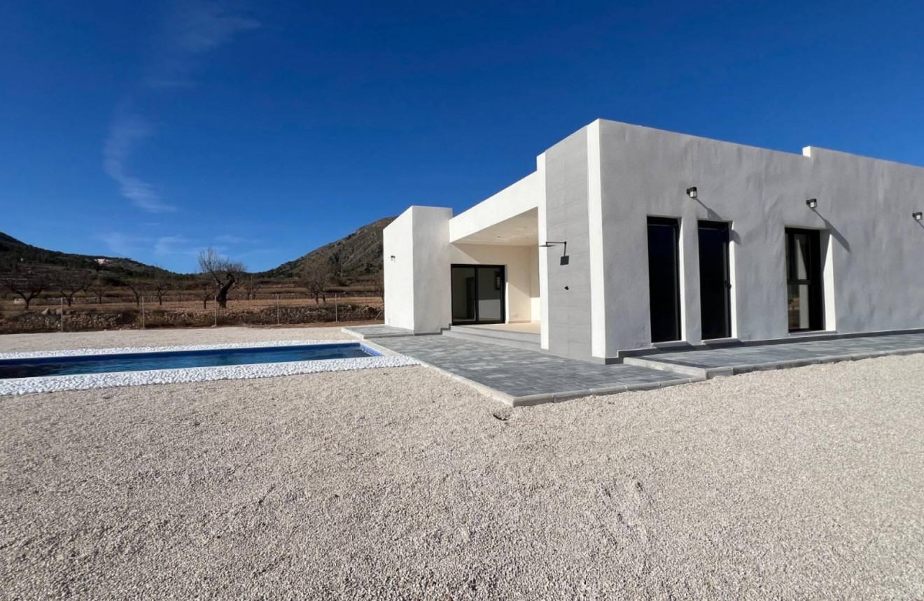 Obra nueva - Chalet -
Jumilla - Torre del Rico