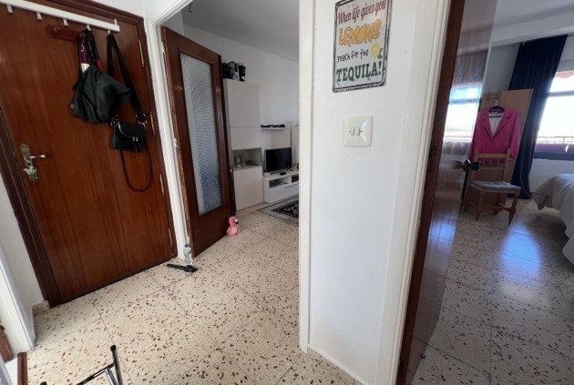 Aus zweiter Hand - Wohnung -
Torrevieja - Costa Blanca