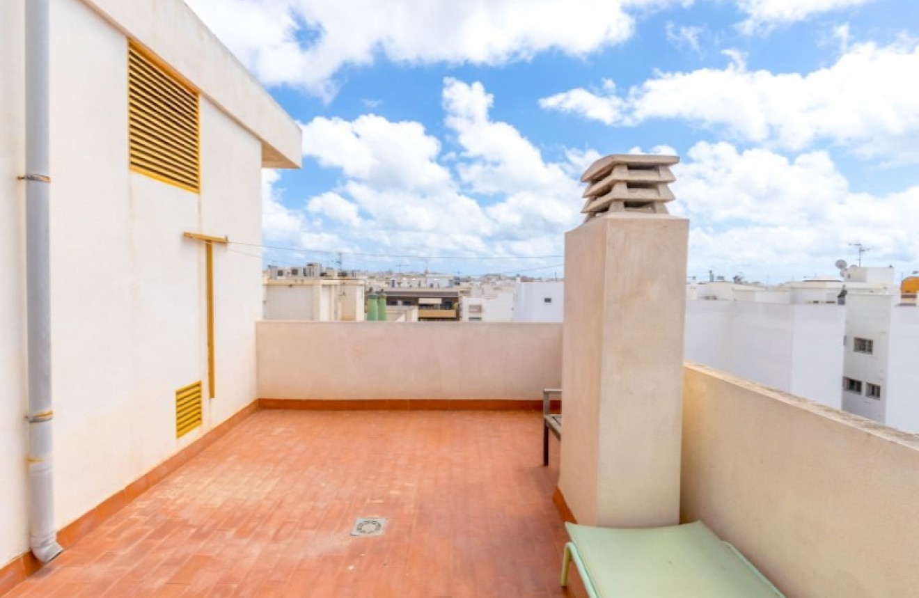 Segunda mano - Apartamento / piso -
Torrevieja - Costa Blanca