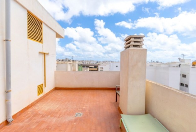 Aus zweiter Hand - Wohnung -
Torrevieja - Costa Blanca