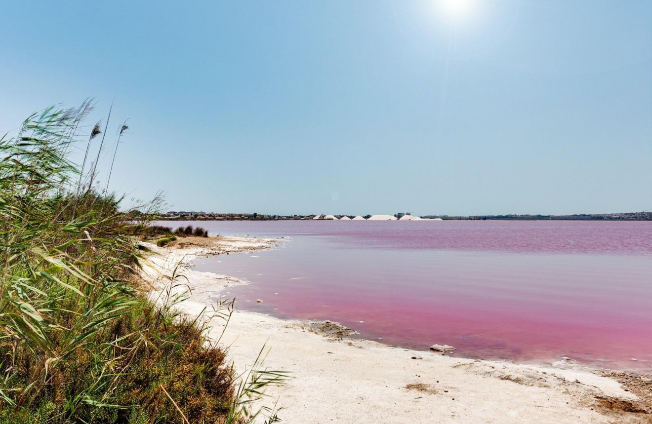 Z drugiej ręki - Szalet -
Torrevieja - San luis