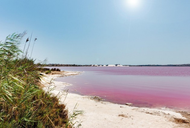 Z drugiej ręki - Szalet -
Torrevieja - San luis